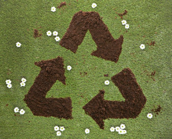 How to Choose the Best Soil Type for Raising Orchids Indoors in the UK?